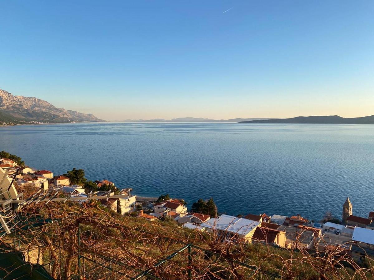 Apartment Stevic 2